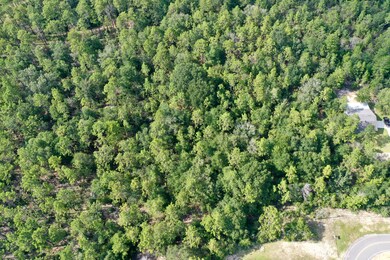 20DDA7F0-FF7B-4428-875A-93E54C4825CC_1_2