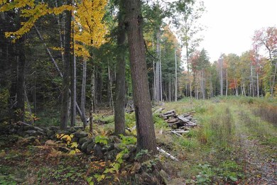 289 Handle Rd, Dover, VT 05356 - photo 3