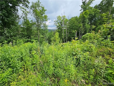 20 Fresh Tracks Way unit 20, Mansfield, NY 14731 - photo 6