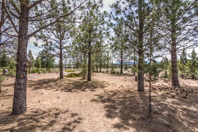 Gist Rd 66966 (13 of 20)