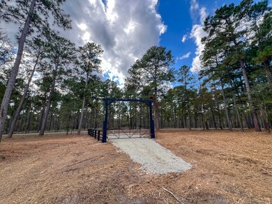 T-2 Farm To Market Road 247, Huntsville, TX 77340 - photo 7