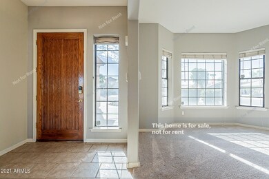 photo_16