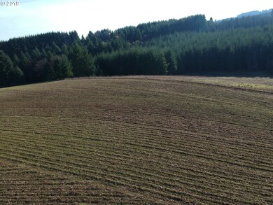 35970 SW Bald Peak Rd, Hillsboro, OR 97123 - photo 4