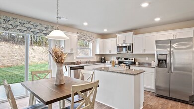 208 Millhone Way, Pendleton, SC 29670 - photo 5