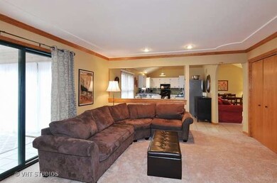 1230 Natchez Trace Cir, Naperville, IL 60540 - photo 5