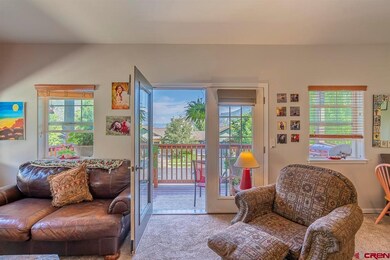 18 E Animas Village Ln, Durango, CO 81301 - photo 4