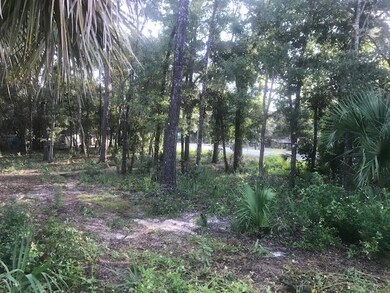 1005 Highway 51 NE, Steinhatchee, FL 32359 - photo 2