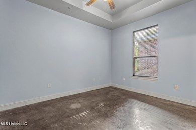 Tray Ceiling