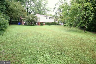 12808 Caldwell St, Rockville, MD 20853 - photo 4