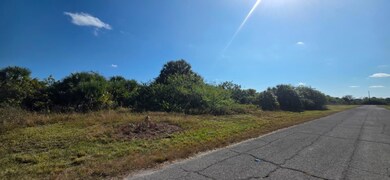 192 Carousel Ave, Fort Denaud, FL 33935 - photo 2