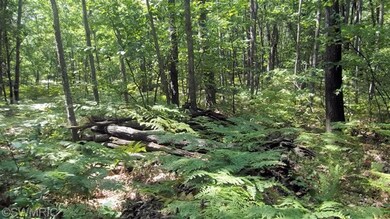 0 W Woodland Park Dr unit PAR D 13049198, Merrill Township, MI 49309 - photo 2