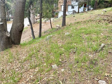 31330 Marcella Dr, Running Springs, CA 92382 - photo 5