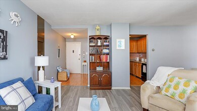 28 Allegheny Ave unit 2505, Towson, MD 21204 - photo 5