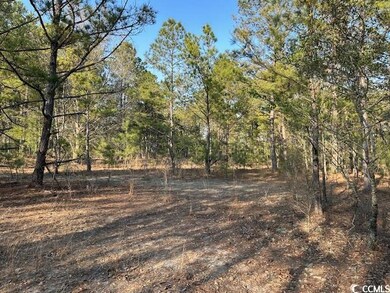TBD Lot 3 McNabb Short Cut Rd, Loris, SC 29569 - photo 3