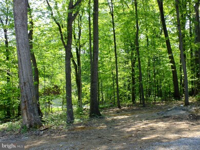 428 Shenandoah River Dr, Harpers Ferry, WV 25425 - photo 4