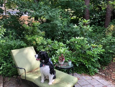 6 Chambers Hill Rd, North Falmouth, MA 02556 - photo 6