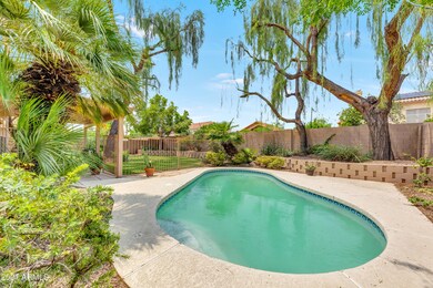Sparkling Pool