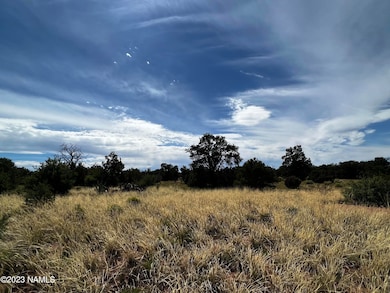 4446 Goldenrod Rd, Williams, AZ 86046 - photo 2