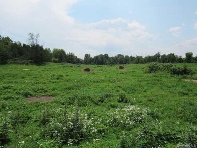 0 County Road 19 unit KEYM373078, Taghkanic, NY 12523 - photo 5