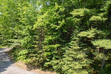 Lot 127 Woodhill Ct, Minocqua, WI 54548 - photo 4