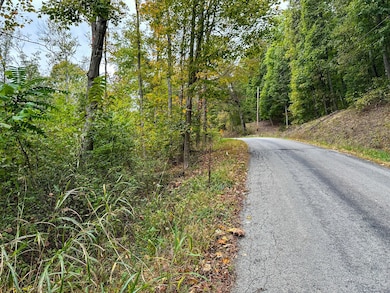 0 Lower Twin Rd, South Salem, OH 45681 - photo 5