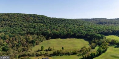 986 Pine Rd, Carlisle, PA 17015 - photo 5