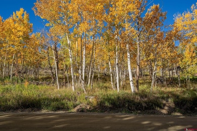 684 Zeligman St, Crested Butte, CO 81224 - photo 3