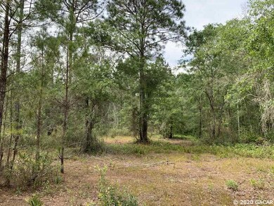 0 SE Family Rd, Lulu, FL 32061 - photo 4