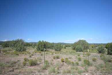 21525 N Ridge View Rd, Paulden, AZ 86334 - photo 5