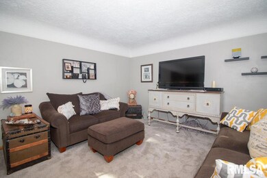 3811 N Pine St, Davenport, IA 52806 - photo 4