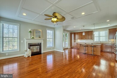 21732 Munday Hill Place, Broadlands, VA 20148 - photo 7
