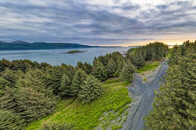 6186 Cliff Point Rd, Kodiak, AK 99615 - photo 5