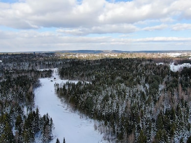 Lot 50 Dublin St, MacHias, ME 04654 - photo 5