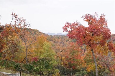 0 Pottery Terrace Trail unit NCM521511, Flat Rock, NC 28731 - photo 4