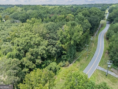 0 E Newnan Rd unit 10589167, Newnan, GA 30263 - photo 2