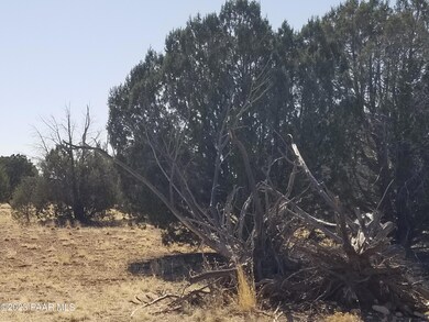 252c Juniperwood Ranch, Ash Fork, AZ 86320 - photo 5