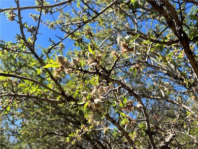 0 Cana Hwy unit SN24230335, Chico, CA - photo 2