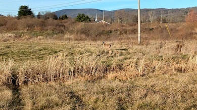 54 Nadalini Dr unit 23, Mansfield, PA 16933 - photo 2