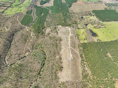 Brushy Ridge Rd, Smithville, OK 74957 - photo 6