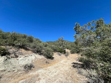 Martin land photo 2