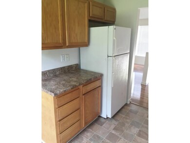 1136 Snowden Terrace, Johnson City, TN 37601 - photo 5