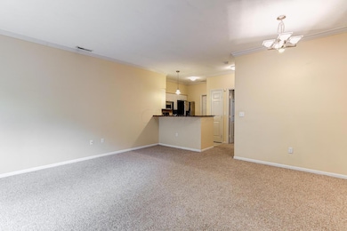 Kitchen - Dining