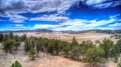 607 Shenandoah Path, Hartsel, CO 80449 - photo 3