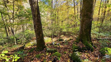 Meadow Creek Falls Retreat