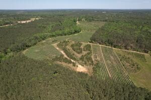 20 Spring Hill Ln, Collins, MS 39428 - photo 2