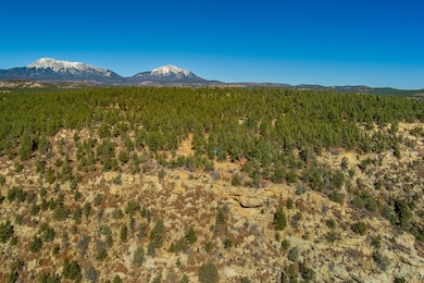 14440 County Rd 28 8 unit 10, Weston, CO 81091 - photo 4