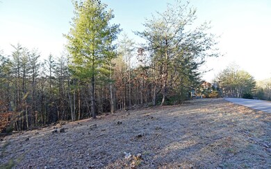 Additional View