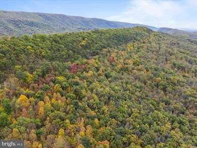 2083 Clay Pits Ln, Great Cacapon, WV 25422 - photo 4