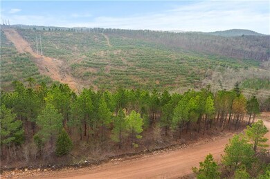 0 Lot 136 unit 989485, Broken Bow, OK 74728 - photo 3