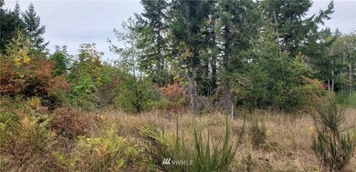 234 XX 197th St E, Orting, WA 98360 - photo 6